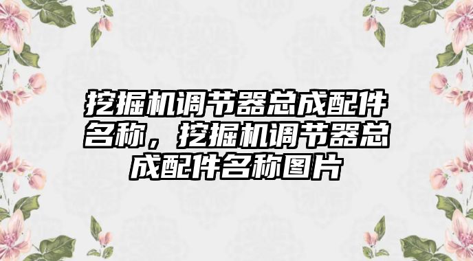 挖掘機調(diào)節(jié)器總成配件名稱，挖掘機調(diào)節(jié)器總成配件名稱圖片