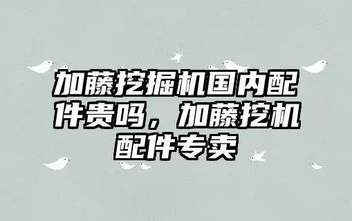 加藤挖掘機(jī)國(guó)內(nèi)配件貴嗎，加藤挖機(jī)配件專賣