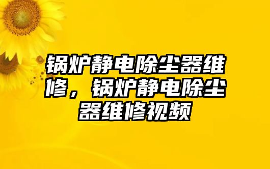 鍋爐靜電除塵器維修，鍋爐靜電除塵器維修視頻