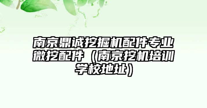 南京鼎誠挖掘機配件專業(yè)微挖配件（南京挖機培訓學校地址）