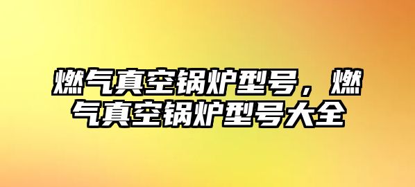 燃?xì)庹婵斟仩t型號，燃?xì)庹婵斟仩t型號大全