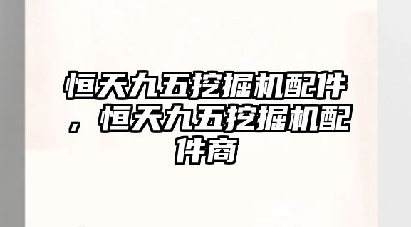 恒天九五挖掘機(jī)配件，恒天九五挖掘機(jī)配件商