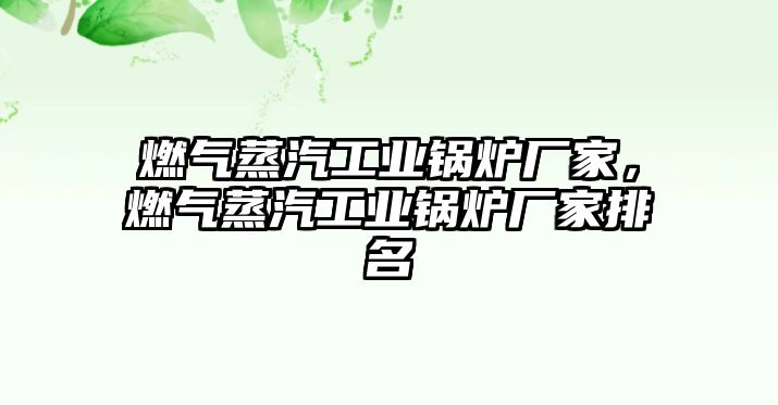 燃氣蒸汽工業(yè)鍋爐廠家，燃氣蒸汽工業(yè)鍋爐廠家排名