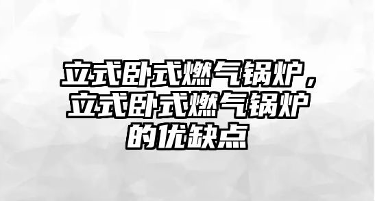 立式臥式燃?xì)忮仩t，立式臥式燃?xì)忮仩t的優(yōu)缺點(diǎn)