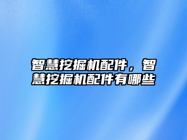 智慧挖掘機配件，智慧挖掘機配件有哪些