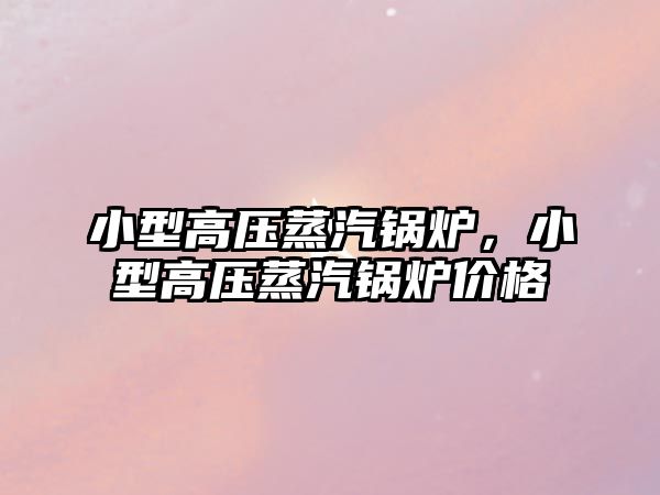 小型高壓蒸汽鍋爐，小型高壓蒸汽鍋爐價格