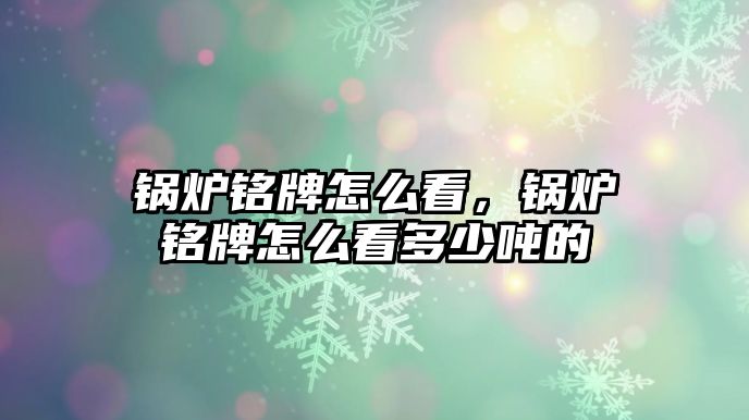 鍋爐銘牌怎么看，鍋爐銘牌怎么看多少噸的