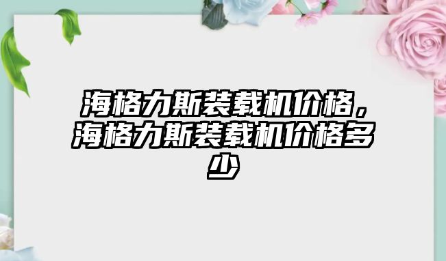 海格力斯裝載機(jī)價(jià)格，海格力斯裝載機(jī)價(jià)格多少