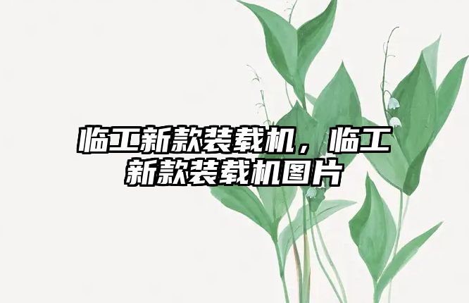 臨工新款裝載機(jī)，臨工新款裝載機(jī)圖片