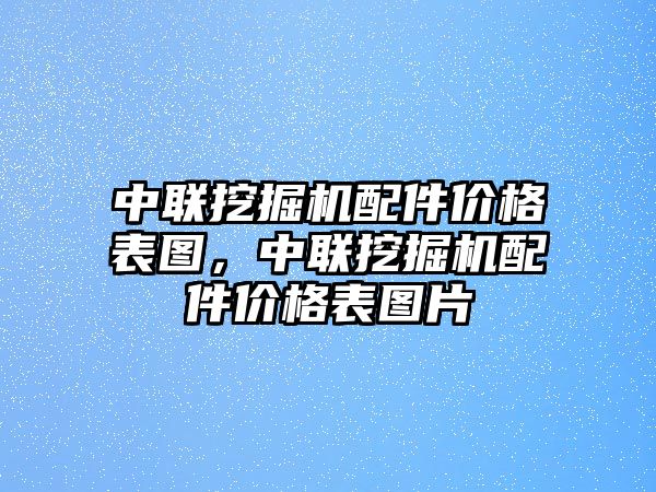 中聯(lián)挖掘機(jī)配件價(jià)格表圖，中聯(lián)挖掘機(jī)配件價(jià)格表圖片