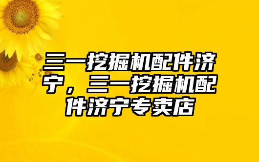 三一挖掘機配件濟寧，三一挖掘機配件濟寧專賣店