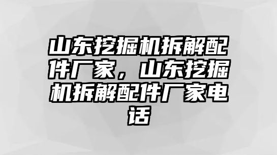 山東挖掘機(jī)拆解配件廠家，山東挖掘機(jī)拆解配件廠家電話