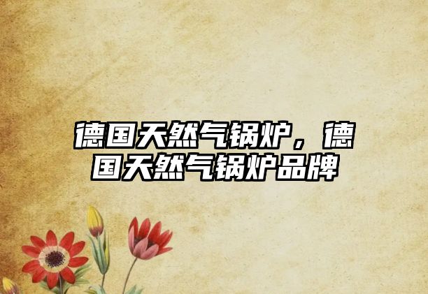 德國(guó)天然氣鍋爐，德國(guó)天然氣鍋爐品牌