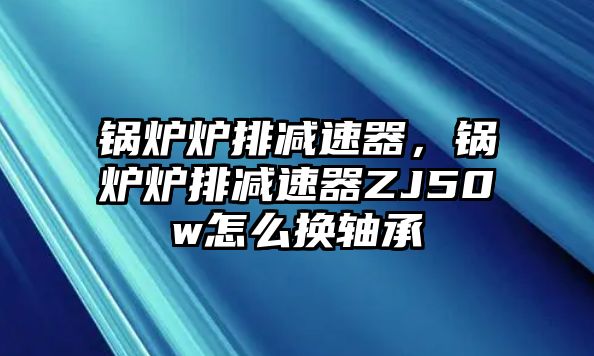 鍋爐爐排減速器，鍋爐爐排減速器ZJ50w怎么換軸承