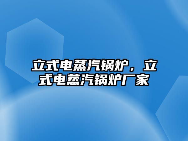 立式電蒸汽鍋爐，立式電蒸汽鍋爐廠家