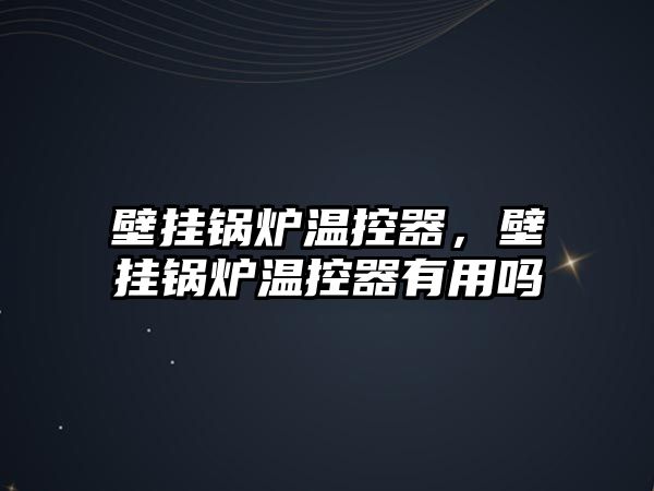 壁掛鍋爐溫控器，壁掛鍋爐溫控器有用嗎