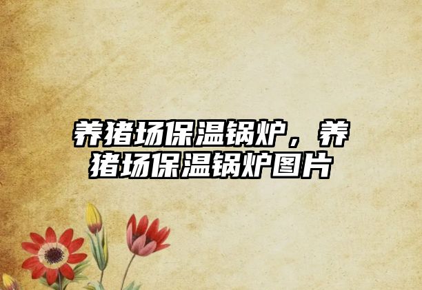 養(yǎng)豬場(chǎng)保溫鍋爐，養(yǎng)豬場(chǎng)保溫鍋爐圖片