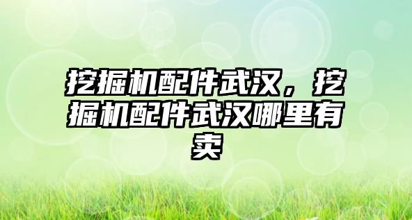 挖掘機配件武漢，挖掘機配件武漢哪里有賣