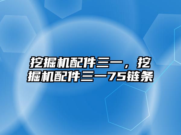 挖掘機配件三一，挖掘機配件三一75鏈條