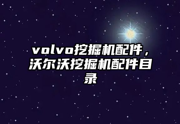 volvo挖掘機配件，沃爾沃挖掘機配件目錄