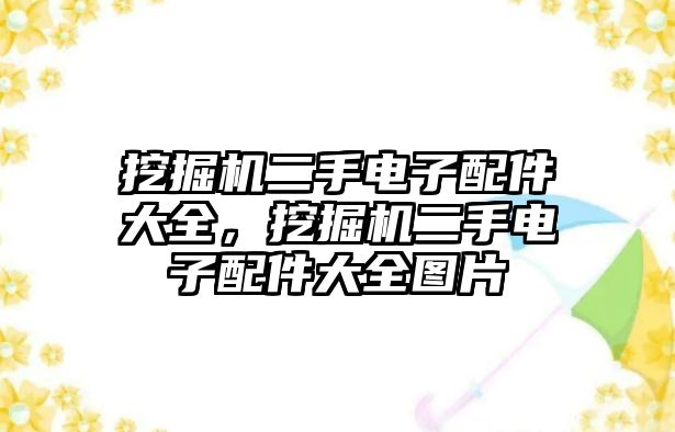 挖掘機(jī)二手電子配件大全，挖掘機(jī)二手電子配件大全圖片