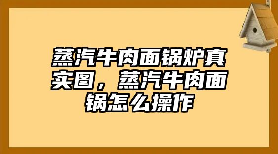 蒸汽牛肉面鍋爐真實(shí)圖，蒸汽牛肉面鍋怎么操作