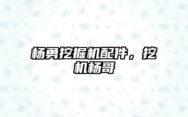 楊勇挖掘機配件，挖機楊哥