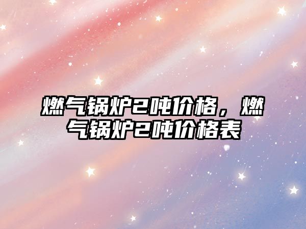 燃?xì)忮仩t2噸價格，燃?xì)忮仩t2噸價格表