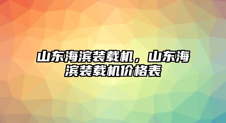 山東海濱裝載機，山東海濱裝載機價格表