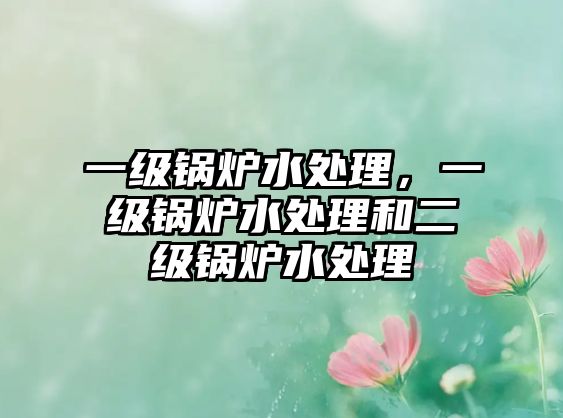 一級鍋爐水處理，一級鍋爐水處理和二級鍋爐水處理