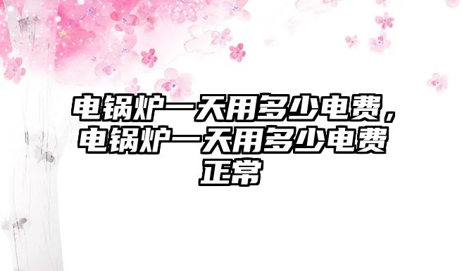 電鍋爐一天用多少電費，電鍋爐一天用多少電費正常