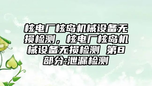 核電廠核島機械設(shè)備無損檢測，核電廠核島機械設(shè)備無損檢測 第8部分:泄漏檢測