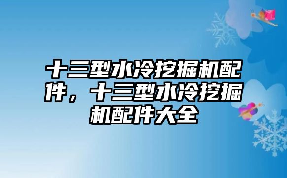 十三型水冷挖掘機(jī)配件，十三型水冷挖掘機(jī)配件大全