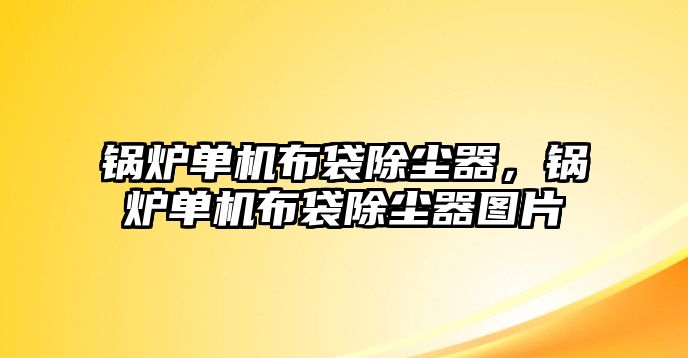 鍋爐單機布袋除塵器，鍋爐單機布袋除塵器圖片