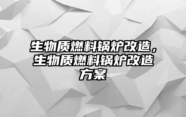 生物質(zhì)燃料鍋爐改造，生物質(zhì)燃料鍋爐改造方案