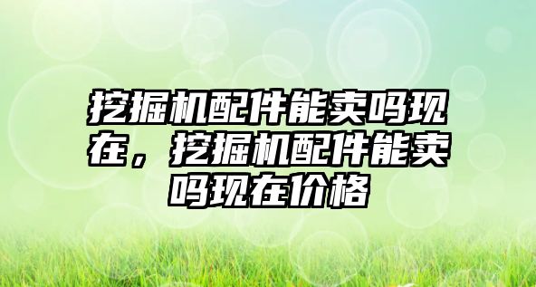 挖掘機配件能賣嗎現(xiàn)在，挖掘機配件能賣嗎現(xiàn)在價格