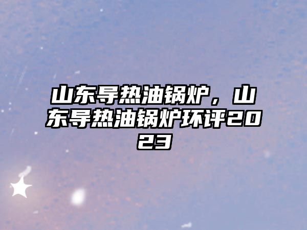 山東導(dǎo)熱油鍋爐，山東導(dǎo)熱油鍋爐環(huán)評(píng)2023