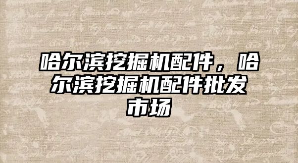 哈爾濱挖掘機配件，哈爾濱挖掘機配件批發(fā)市場