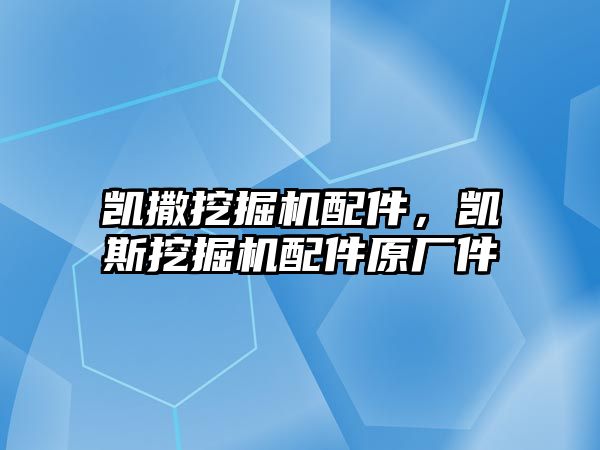 凱撒挖掘機配件，凱斯挖掘機配件原廠件