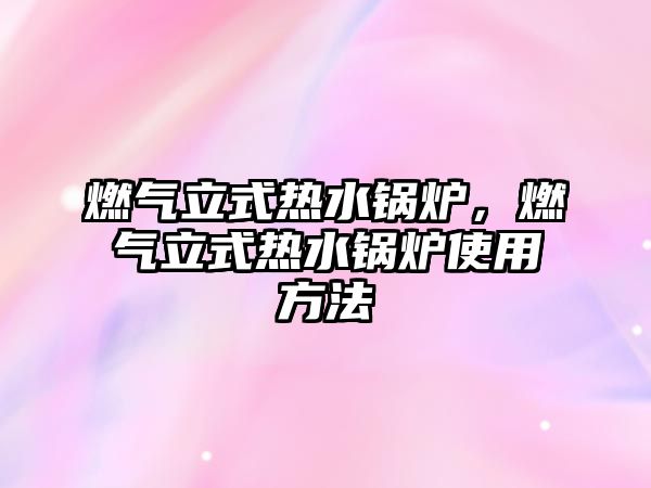 燃?xì)饬⑹綗崴仩t，燃?xì)饬⑹綗崴仩t使用方法