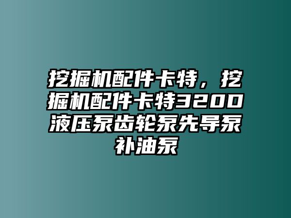 挖掘機(jī)配件卡特，挖掘機(jī)配件卡特320D液壓泵齒輪泵先導(dǎo)泵補(bǔ)油泵