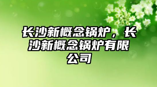 長(zhǎng)沙新概念鍋爐，長(zhǎng)沙新概念鍋爐有限公司