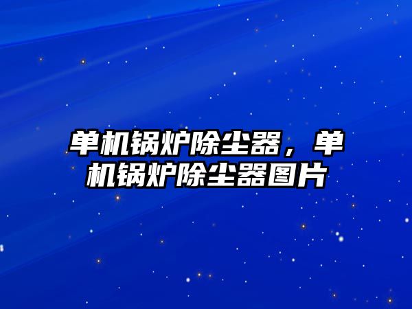 單機鍋爐除塵器，單機鍋爐除塵器圖片