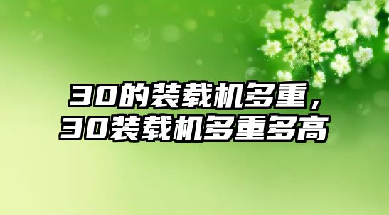 30的裝載機(jī)多重，30裝載機(jī)多重多高