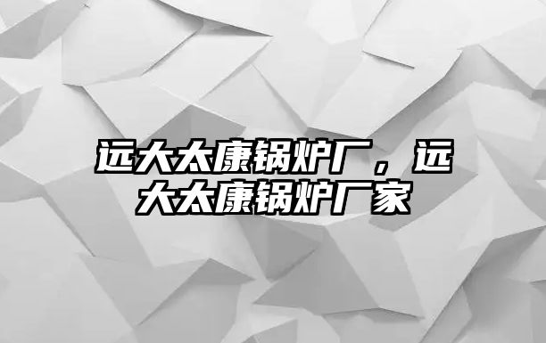 遠大太康鍋爐廠，遠大太康鍋爐廠家