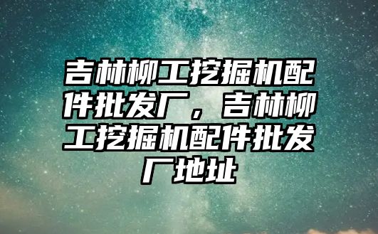 吉林柳工挖掘機配件批發(fā)廠，吉林柳工挖掘機配件批發(fā)廠地址