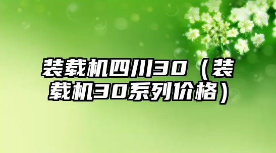 裝載機四川30（裝載機30系列價格）