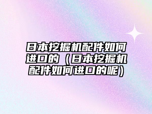 日本挖掘機(jī)配件如何進(jìn)口的（日本挖掘機(jī)配件如何進(jìn)口的呢）