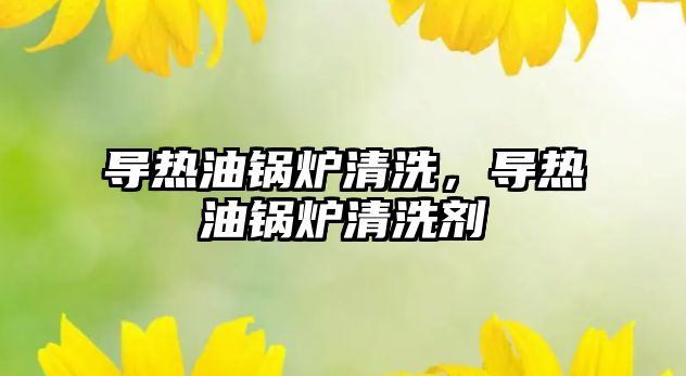 導(dǎo)熱油鍋爐清洗，導(dǎo)熱油鍋爐清洗劑