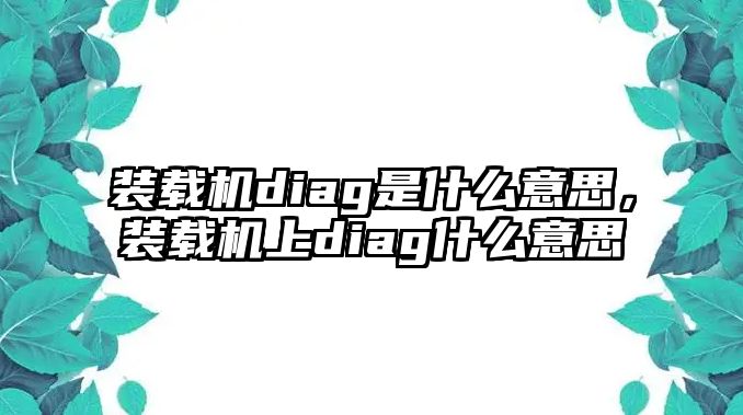 裝載機(jī)diag是什么意思，裝載機(jī)上diag什么意思